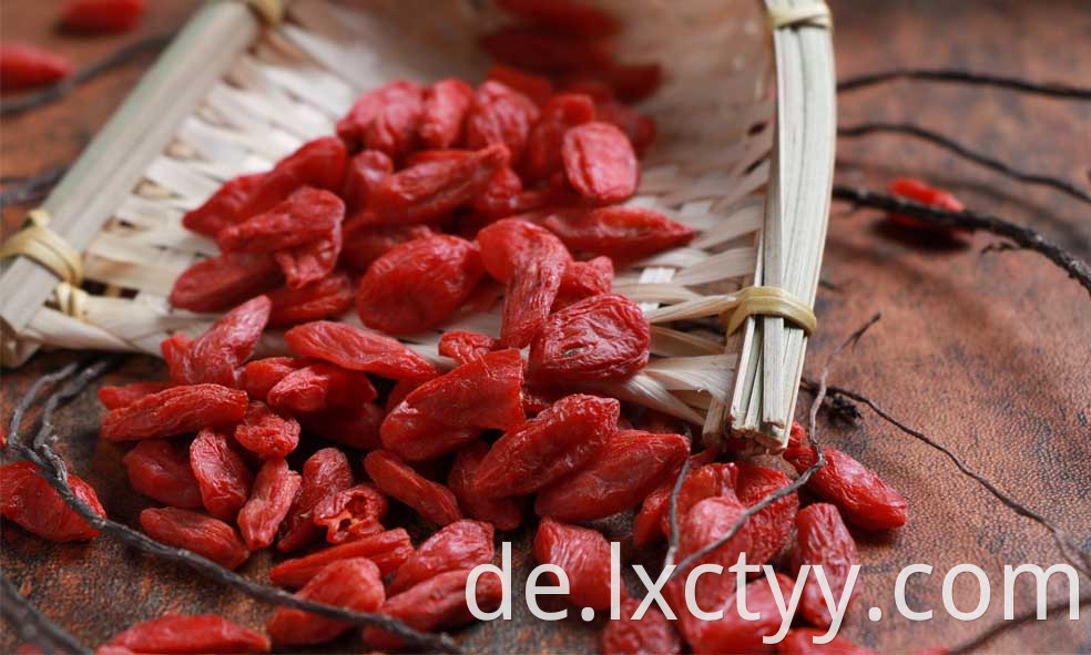 dried goji berries fruit